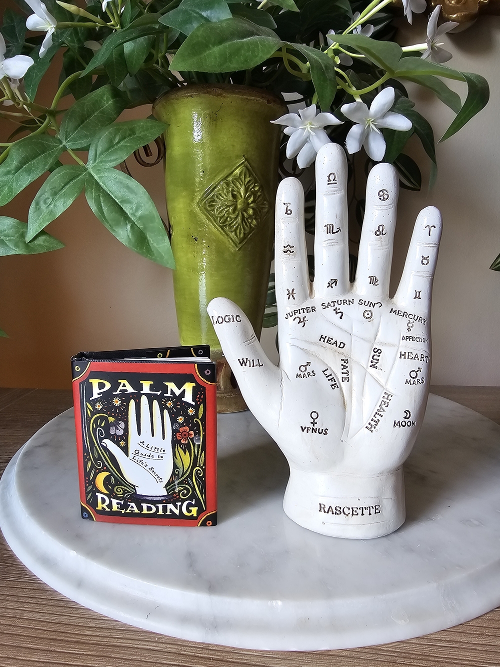 Palmistry Reading Set. Resin Hand Statue with Palm Reading Book.